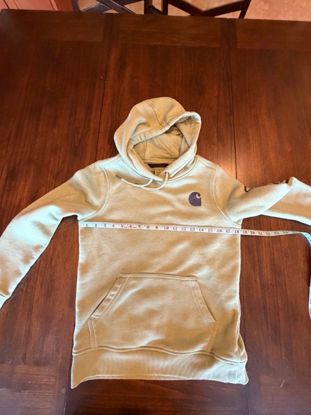 Carhartt Sage Hoodie Sweatshirt with Sellout Sleeve, Size XS - Picture 14 of 14